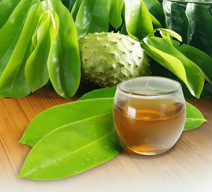 Soursop + Ginger Herbal Tea (Copy)